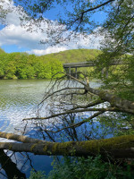 /album/oberbreidenbach-2024/wandertag-20-jpg/